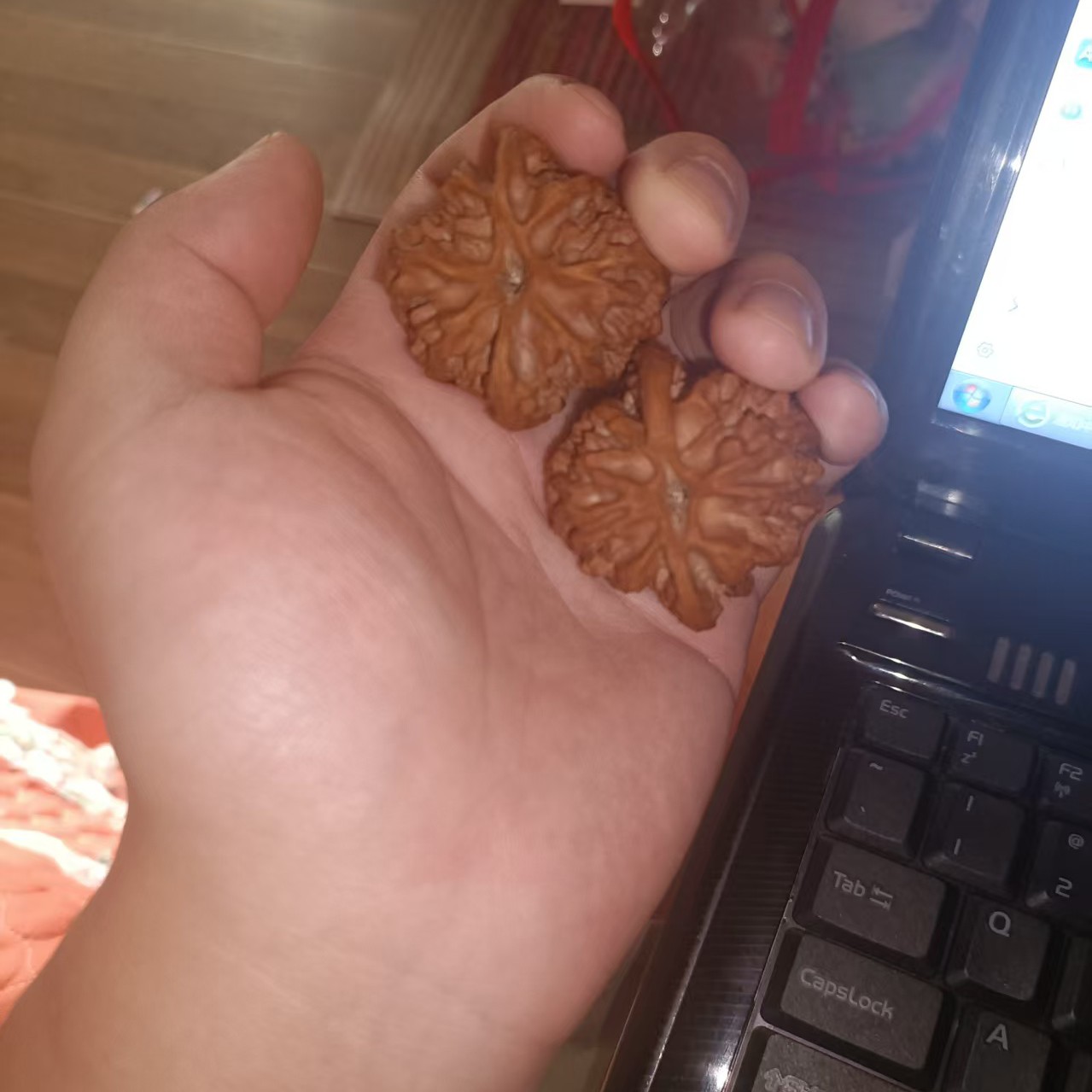 平谷老树红皮山地大粗筋核桃新果头货适合收藏把玩