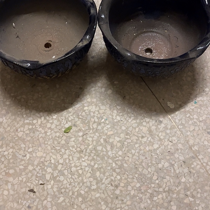 泥塑自产自销模式