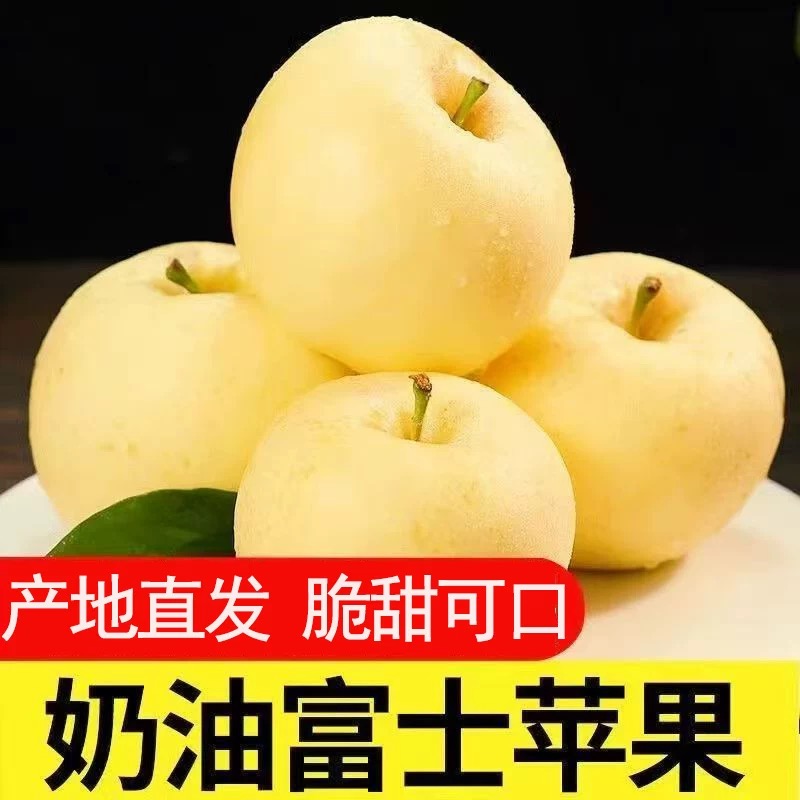 山东奶油苹果烟台富士苹果脆甜新鲜水果产地直发