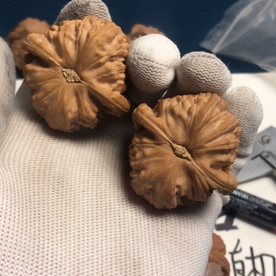 吊坠文玩核桃白狮子➕粗筋