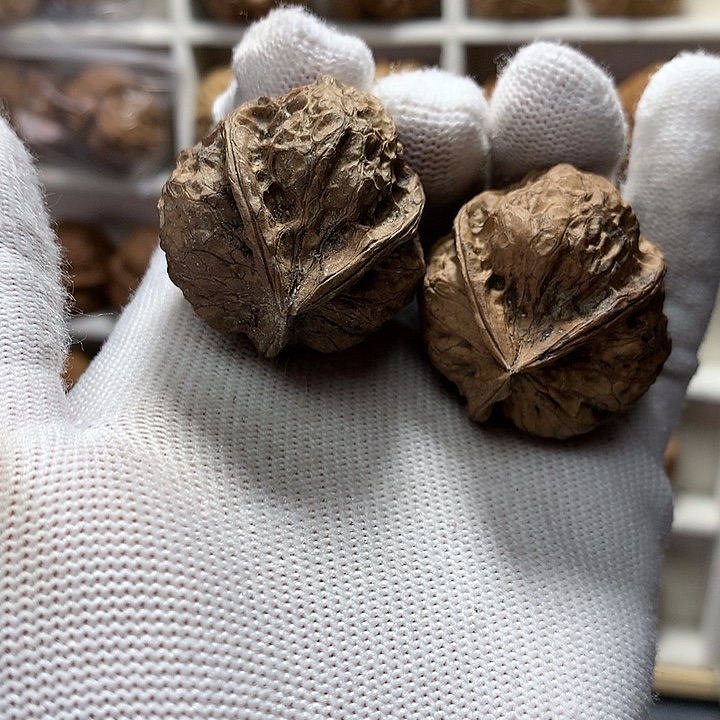 核桃35尺小尖嘴三棱6号