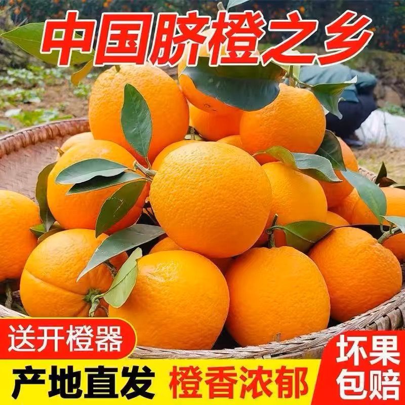 【江西赣南】正宗蜂糖脐橙当季新鲜水果橙子鲜嫩多汁多仓发货-KM