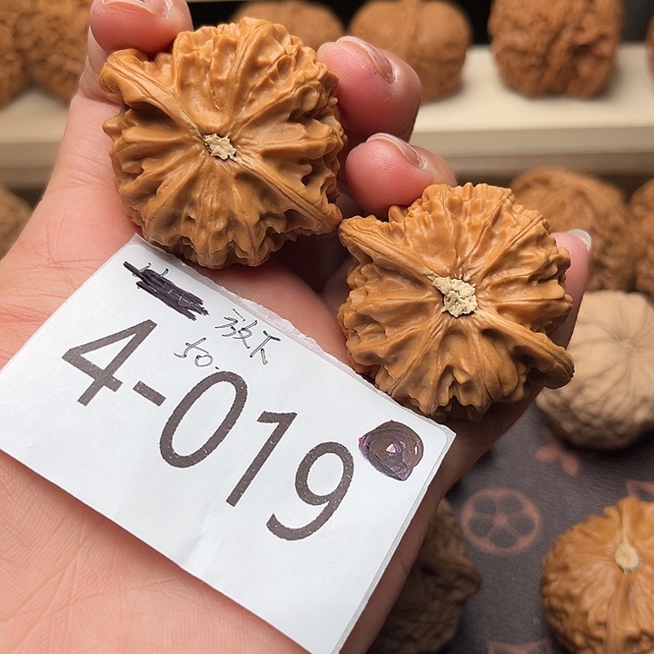 放***下核桃44宫灯4019福利对