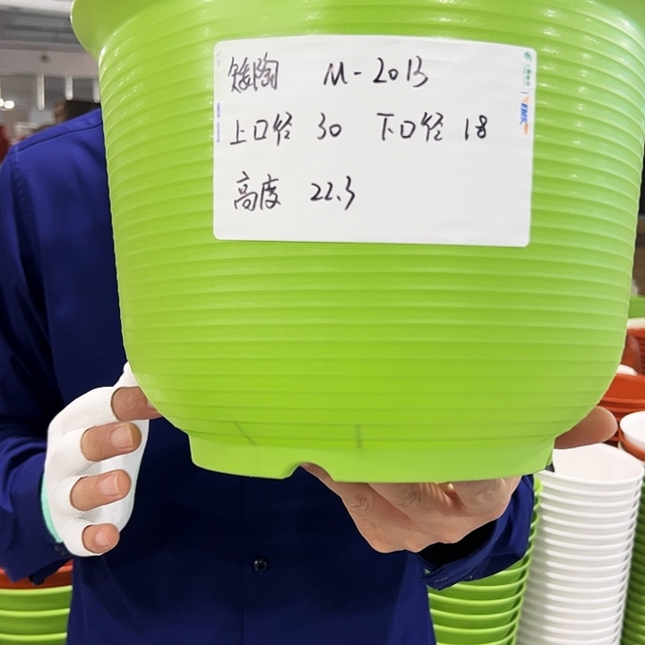 正品矮陶口30高21果绿5只无托