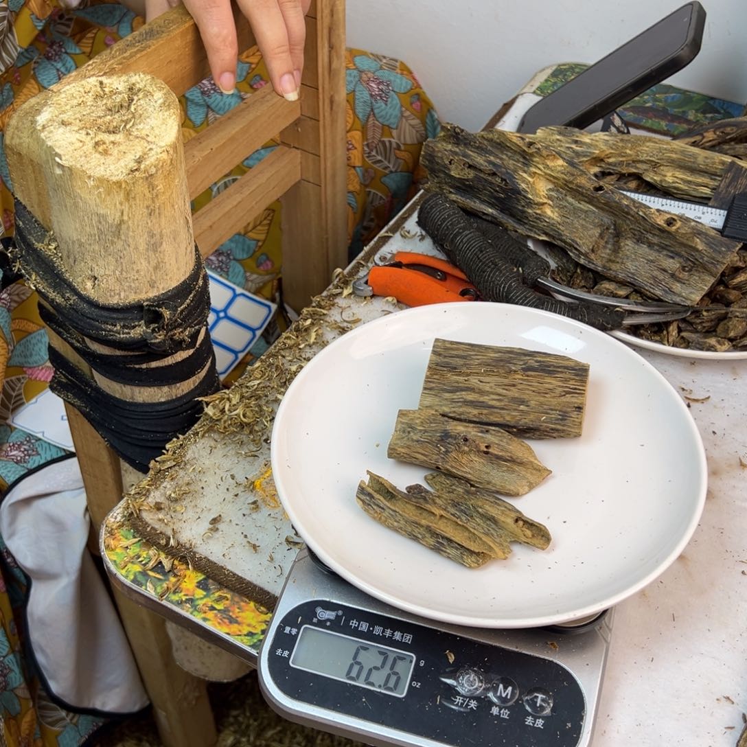 线香奇楠虫漏香62克