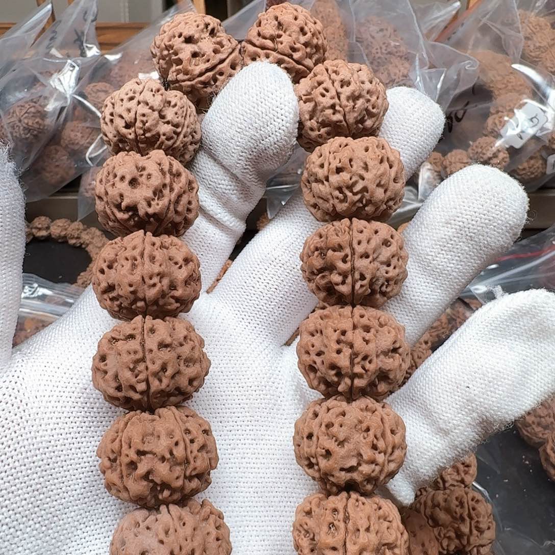 金刚菩提手串22狂飙安娜