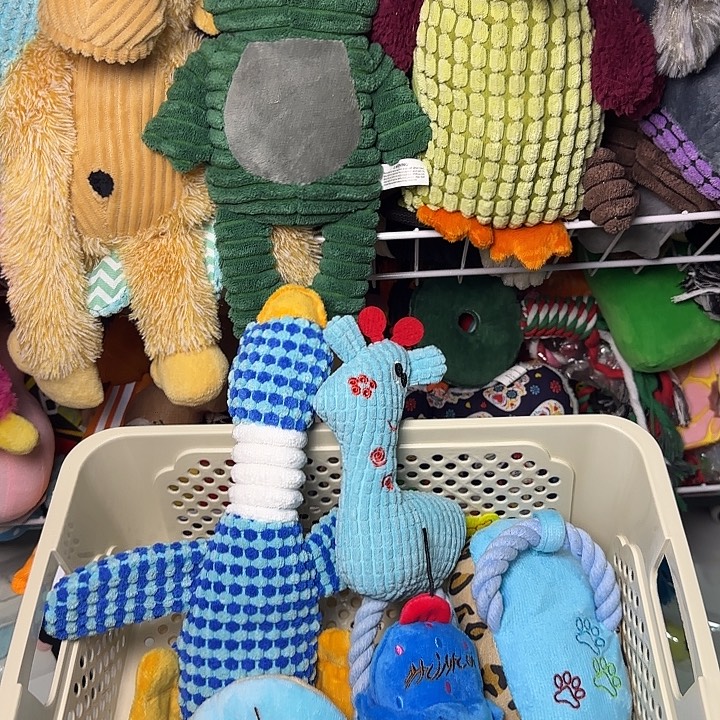 毛绒发声玩具。。。到手是框里面的五个