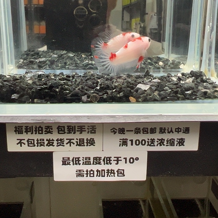 斗鱼跑单拉黑二十日32