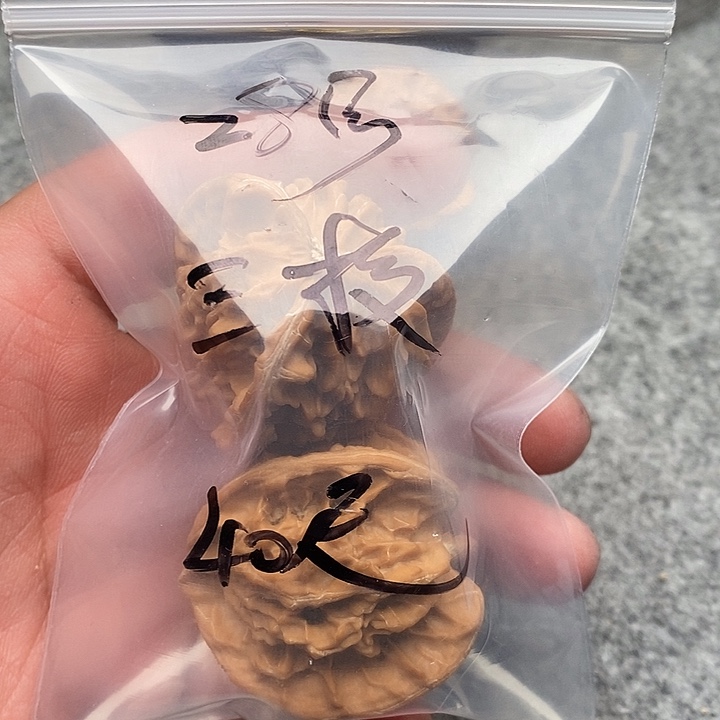 吊坠文玩核桃三棱
