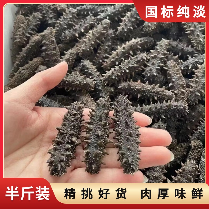 【半斤装现场选货】国标纯淡干深海海参渤海湾刺参