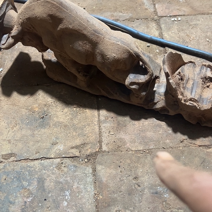 花梨木类88888888888888