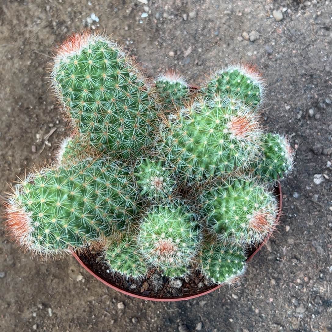 冰***洁0。 零零落落 零零落落