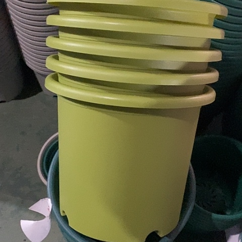 树脂特价6号5个无托果绿