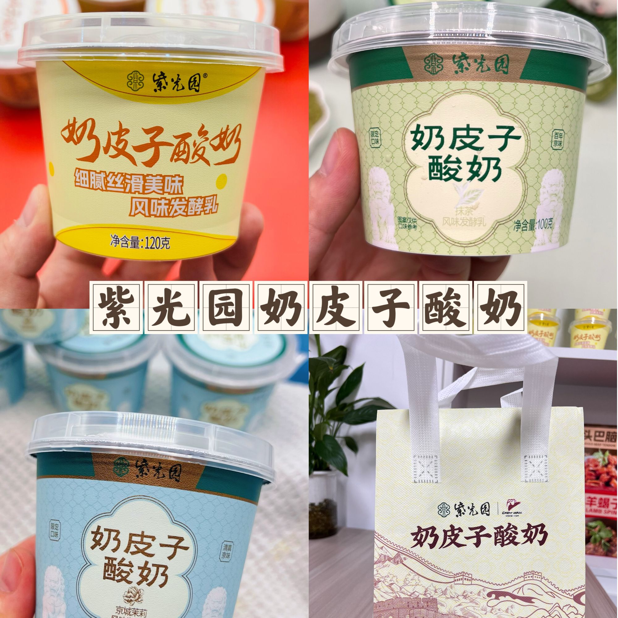 8杯新口味紫光园奶皮子厚乳酪奶酪北京风味发酵风味儿童奶皮酸奶