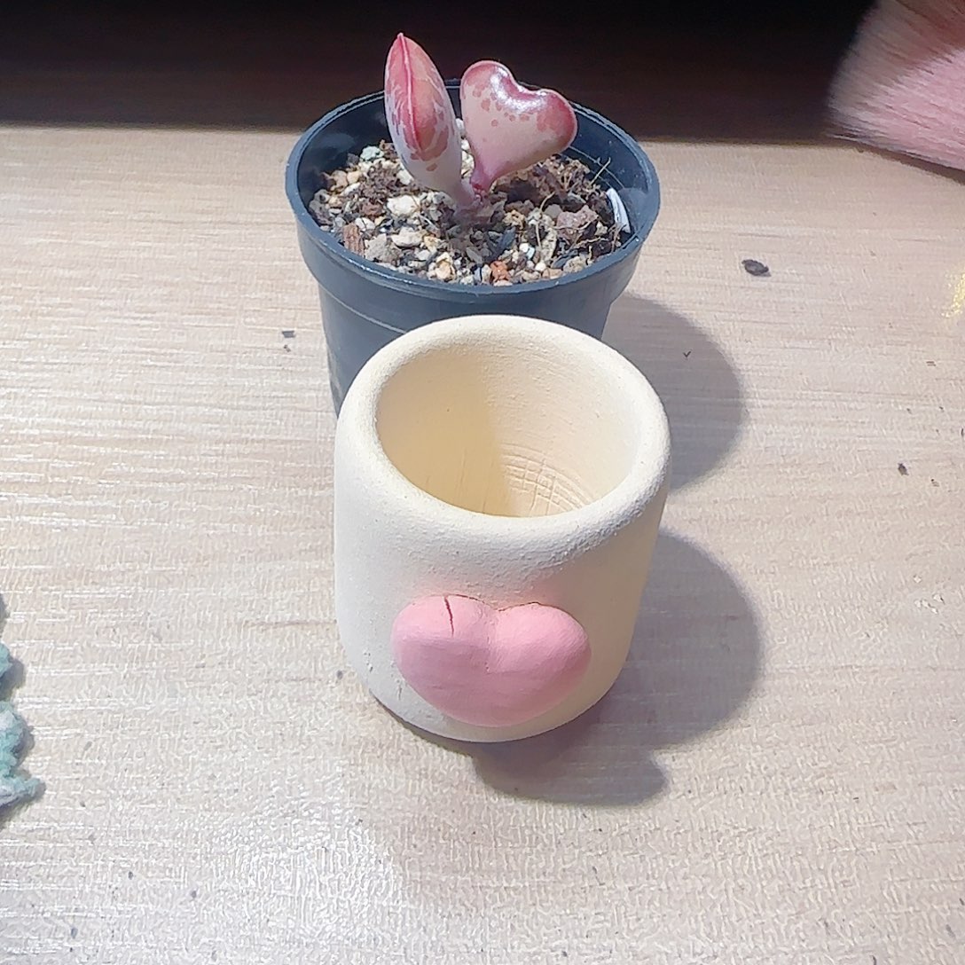 马****T爱心水泡种粉盆盆口3cm