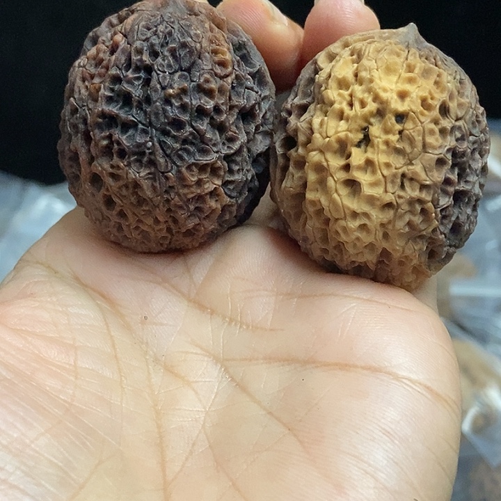 把件文玩核桃云南铁核桃基地64