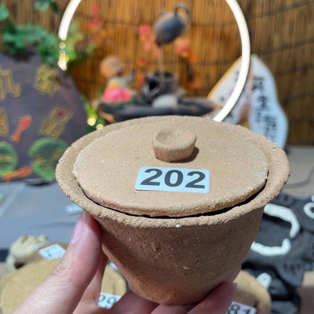 木村信弘柴烧保平