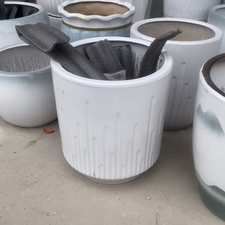 低腰白音符大号口33/36