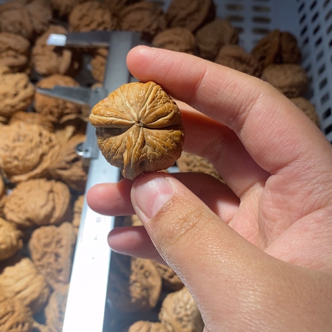 斯***虹吊坠文玩核桃文玩