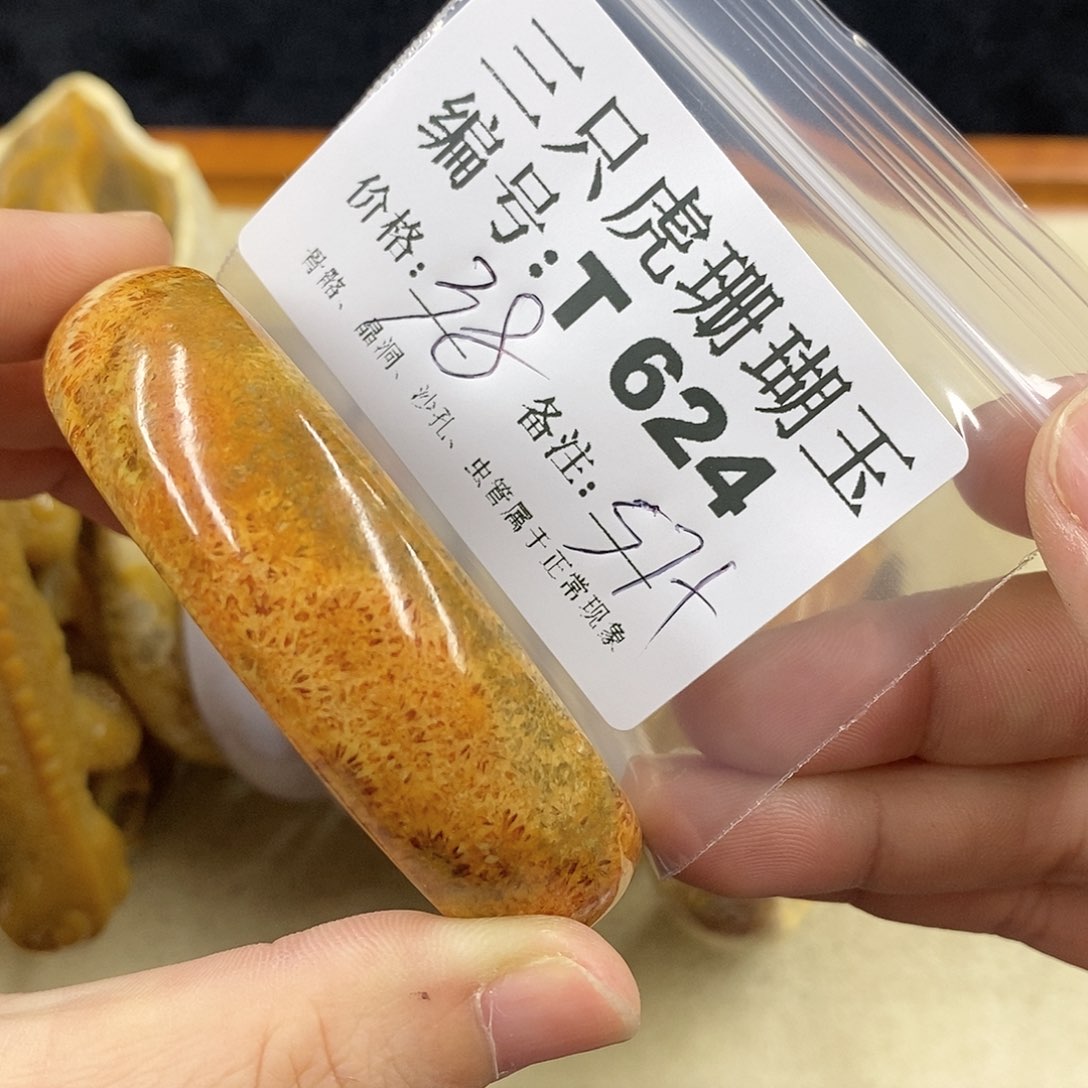 硅化珊瑚（珊瑚玉）1未镶嵌代*词