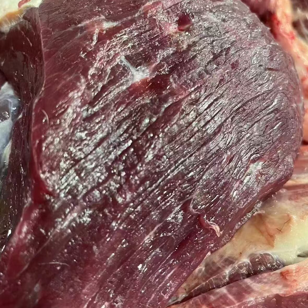 牧民图哥自家草原散养牛肉