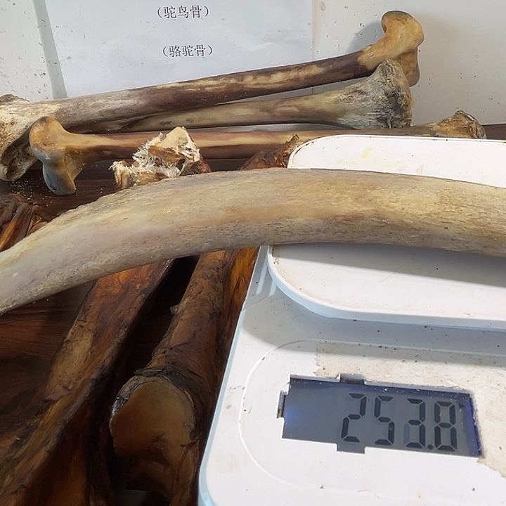 hhhu肋骨肋骨肋骨肋骨肋骨