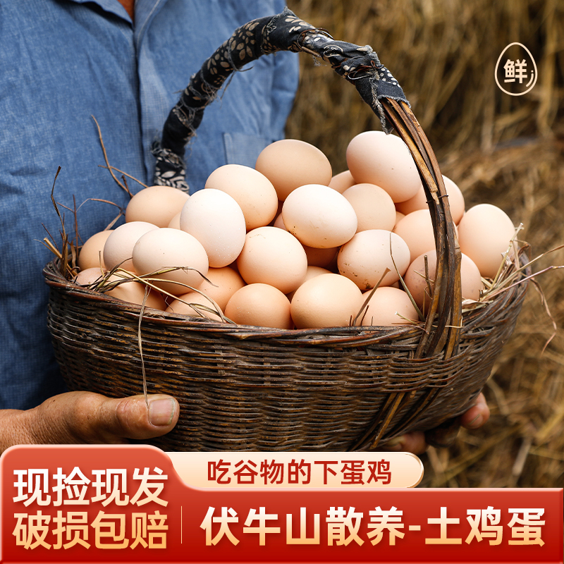 包邮伏牛山散养土鸡蛋谷物鸡蛋鲜鸡蛋10枚现捡现发 破损包赔