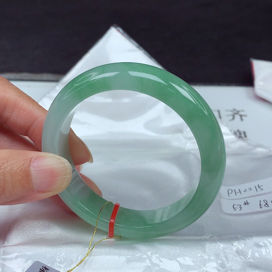 未镶嵌手镯翡翠53圈0015