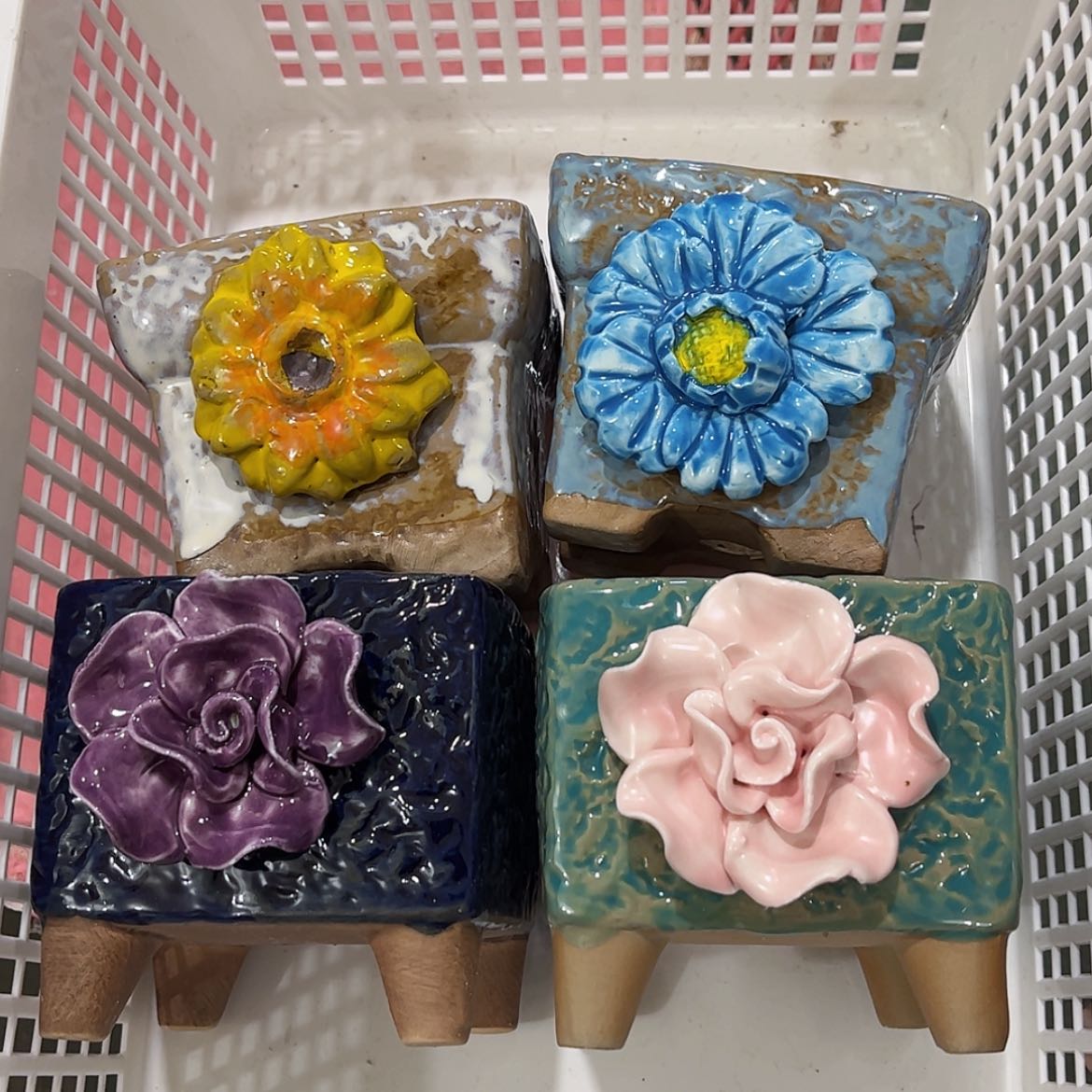 【闪购商品】红陶你