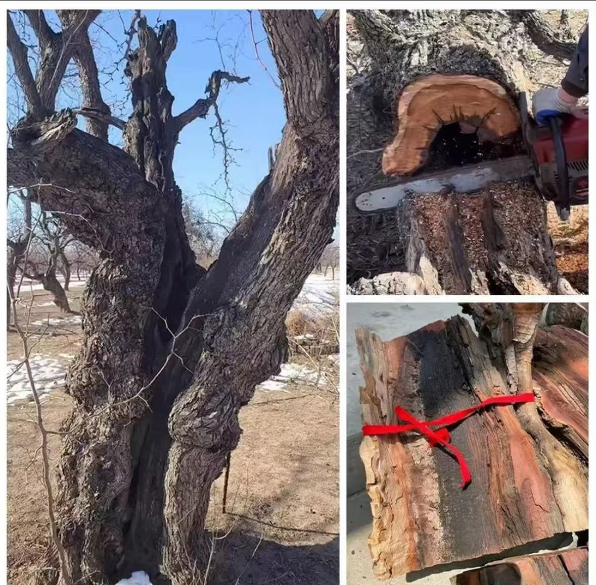 天然雷击枣木一物一拍链接