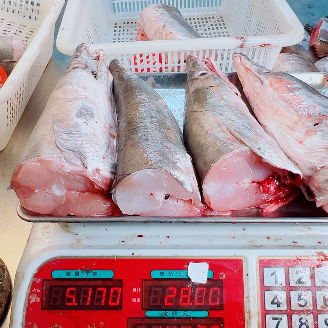 中国大陆四个鳗头