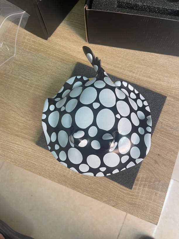 热带淡水观赏鱼黑白皇冠魟鱼摆件