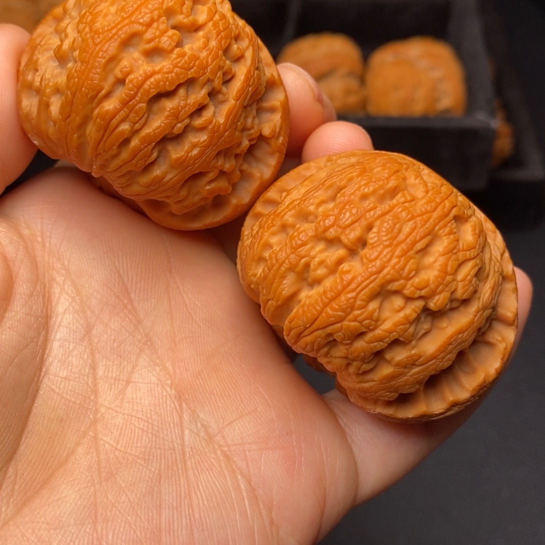 文玩核桃把件秦岭野生核桃