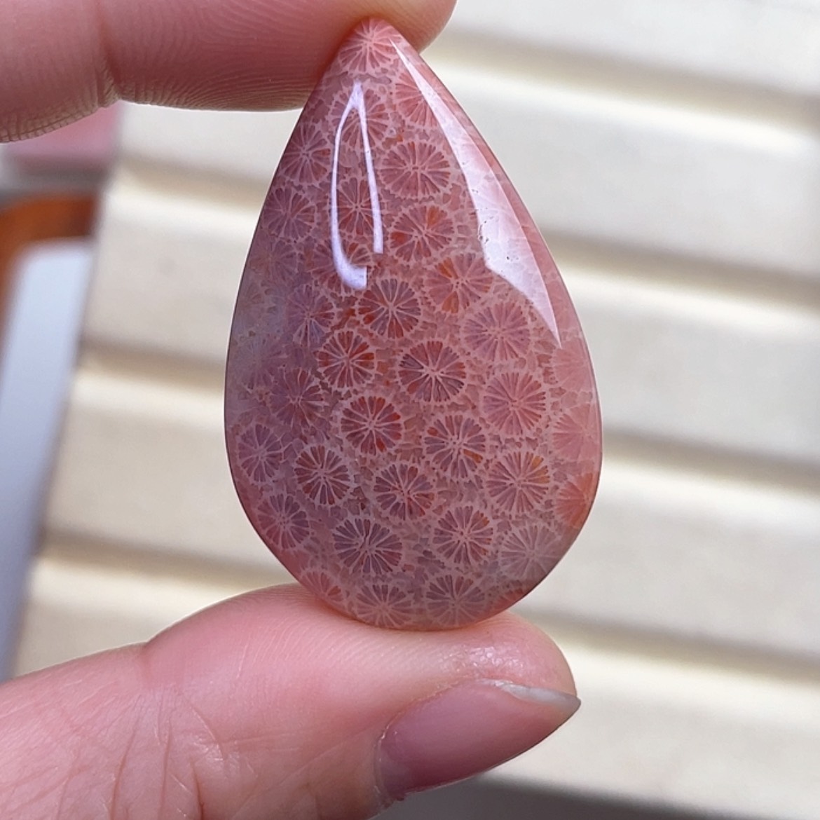 【闪购商品】硅化玉吊坠(赠链)未镶嵌