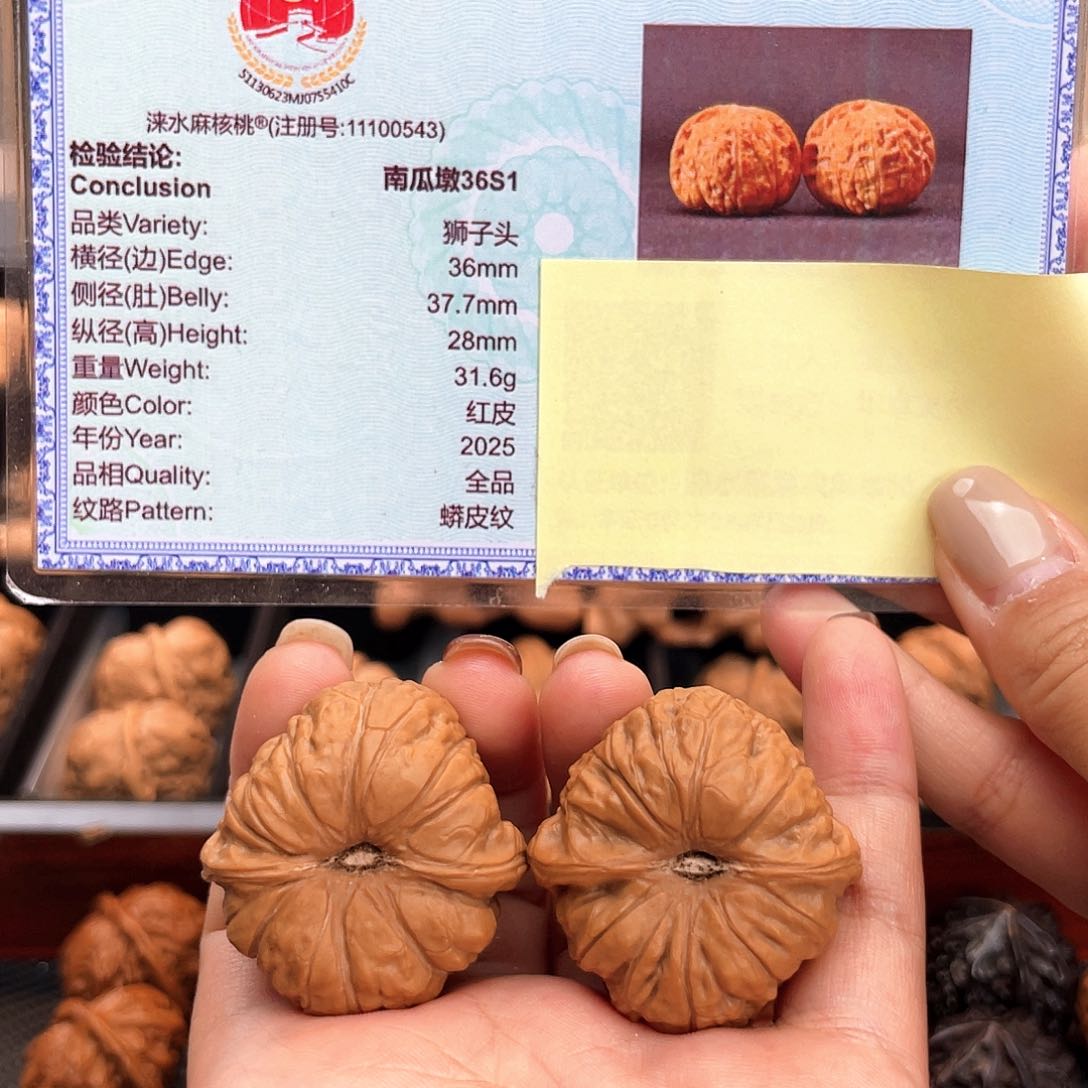 把件文玩核桃36尺s1超精近圆深凹➕近正肩，有证书！