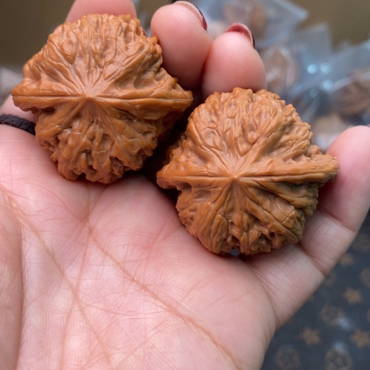 核桃凹底42尺核桃