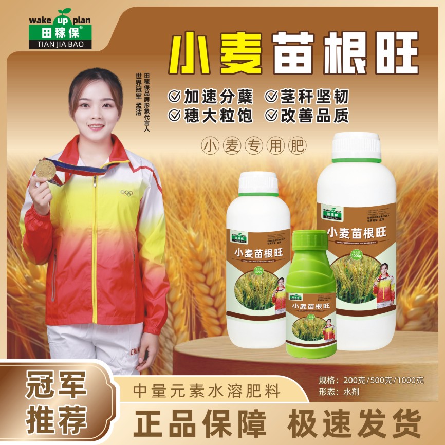田稼保小麦苗根旺小麦种植专用促进分蘖茎秆坚韧穗大粒多水溶肥料
