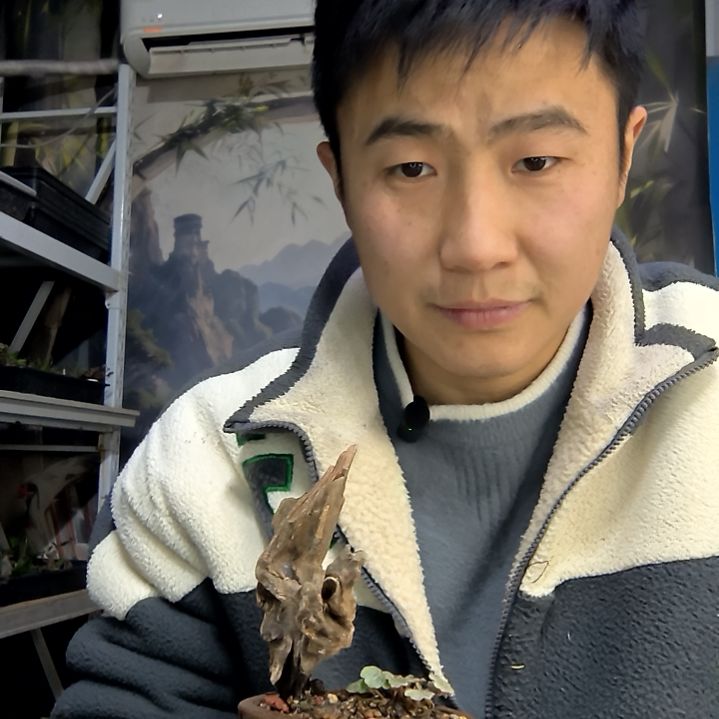 大***）中青园艺一物一拍花81