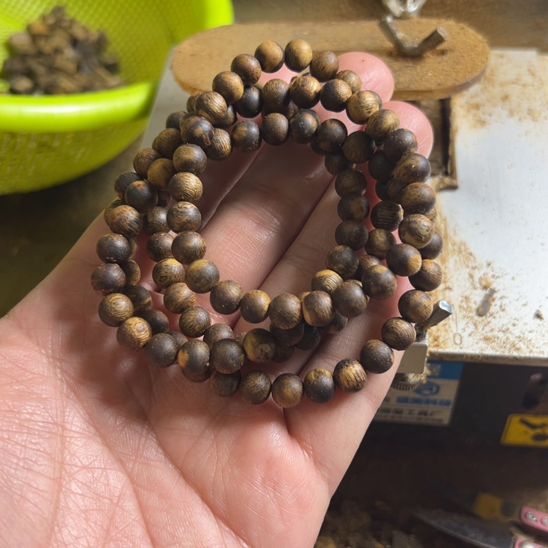 高油脂海南产区莺歌绿品种卡7多圈