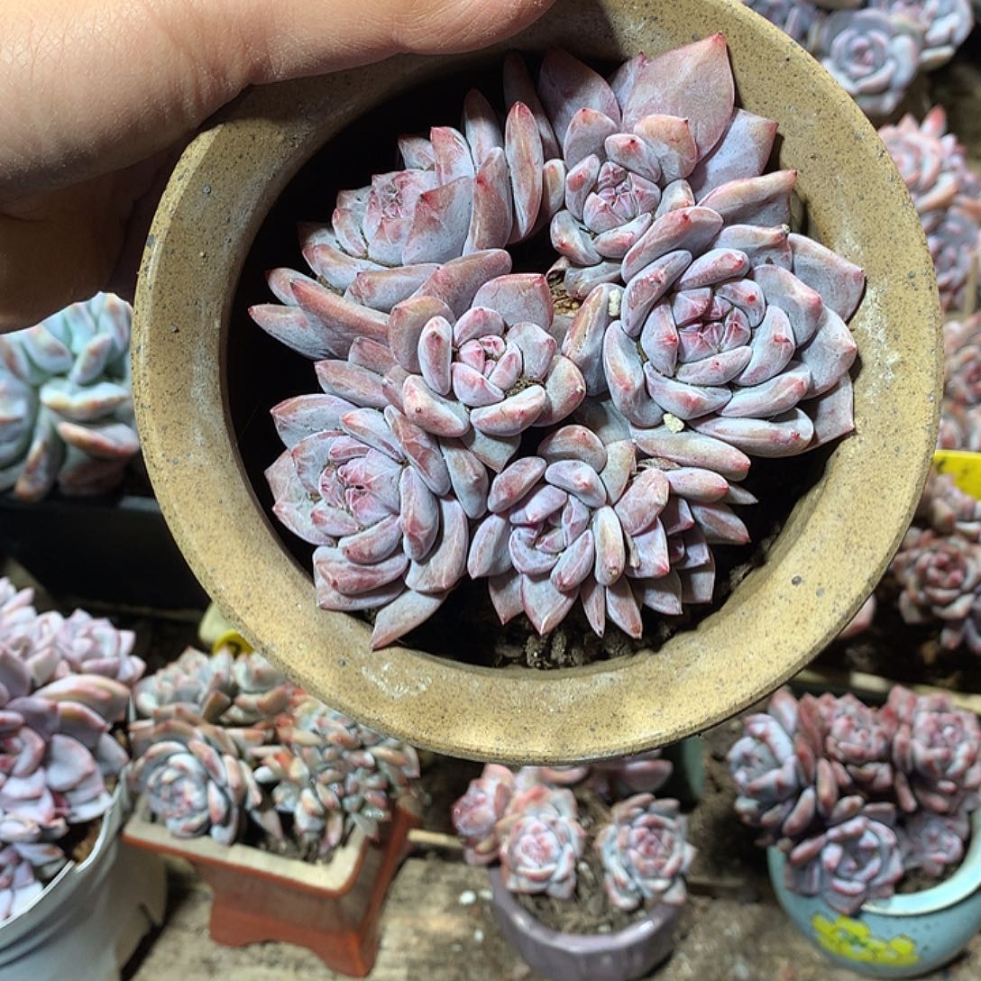 哈哈哈哈哈哈哈哈哈哈2