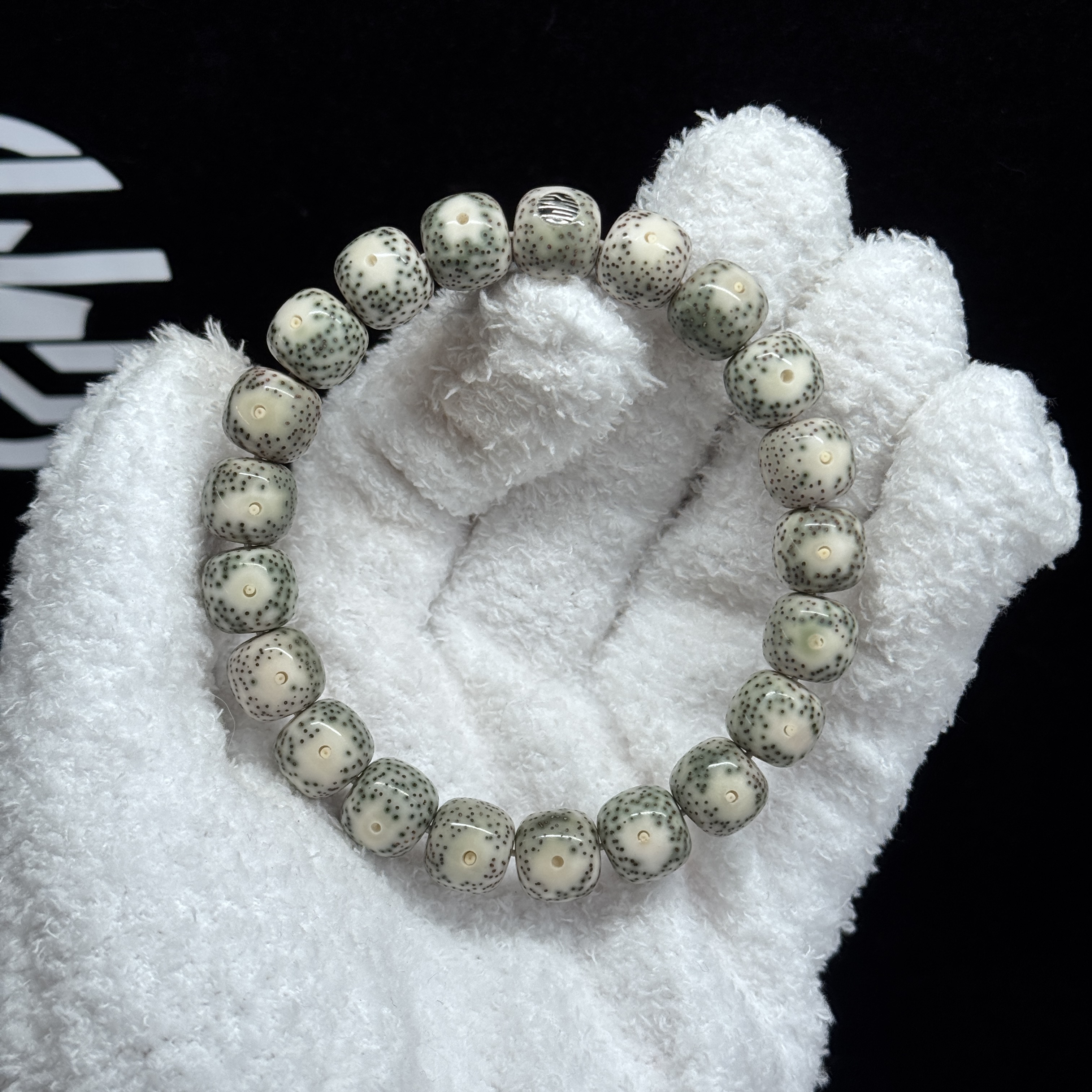 【石玉正月大眼睛打标款-进阶】海南原生态 星月菩提 同枝果老料