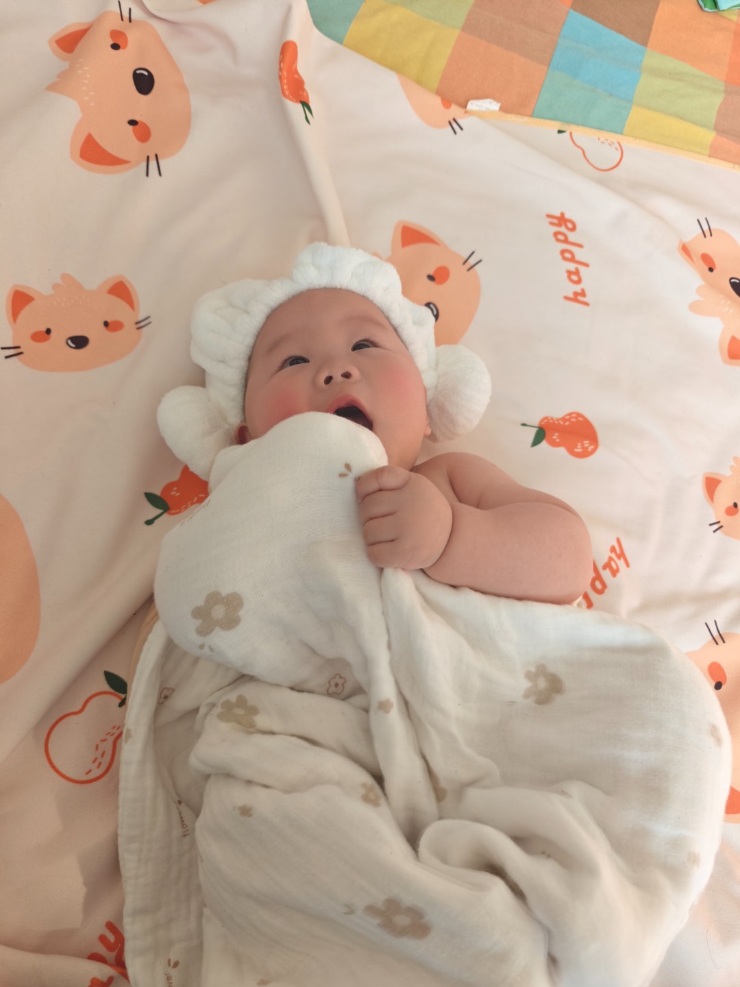 六六宝贝袜子福利专属链接