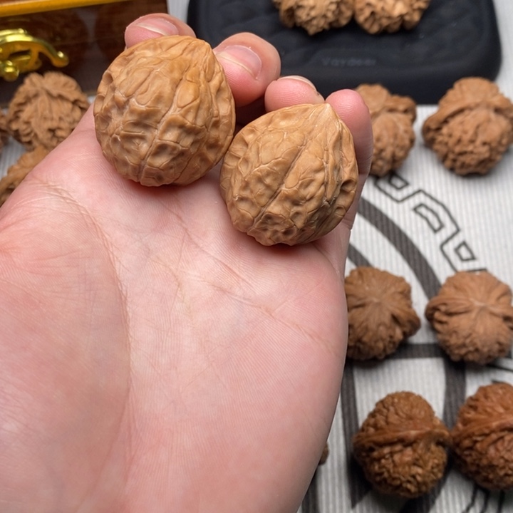 吊坠文玩核桃龟甲文