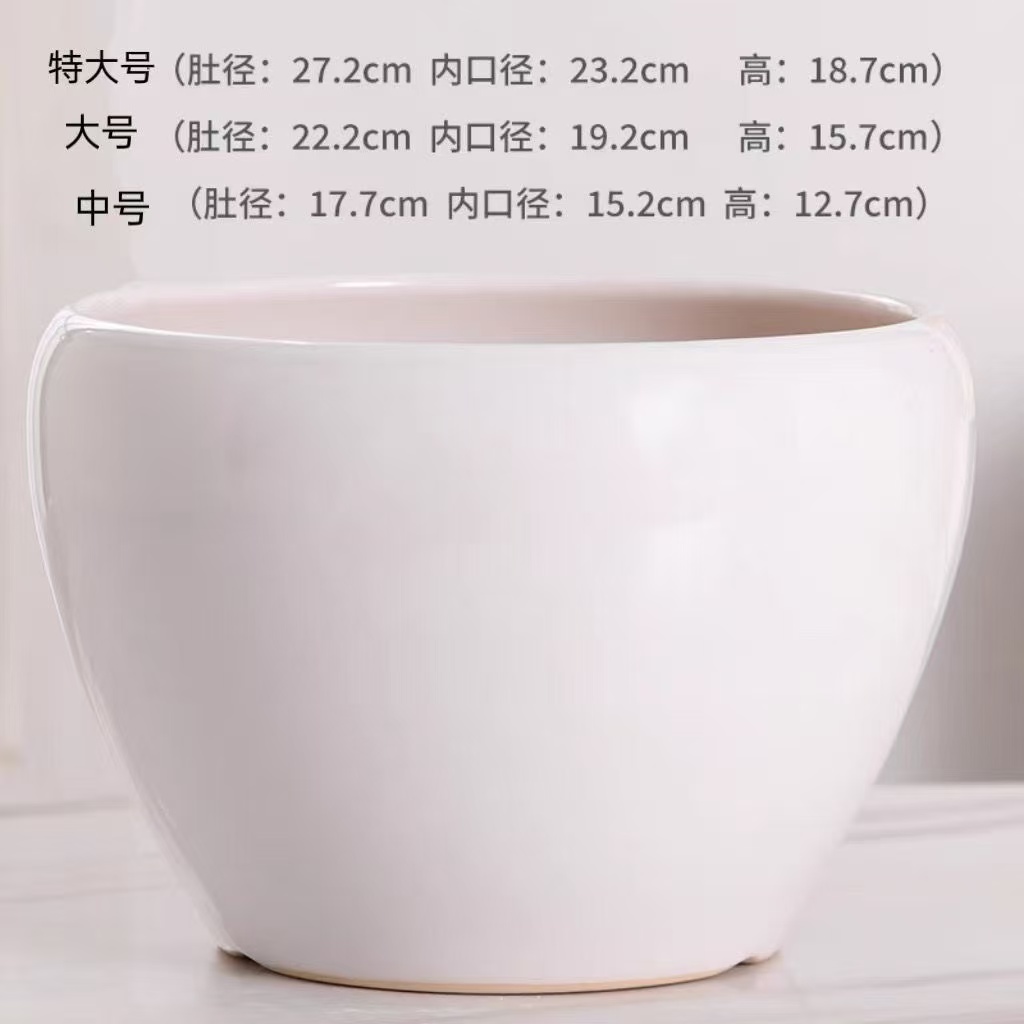 纯白苹果型发财树多肉陶瓷花盆（多个尺寸）