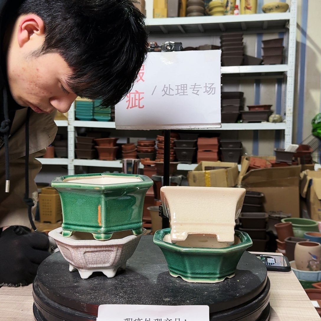 紫砂花盆哈哈这几集都在