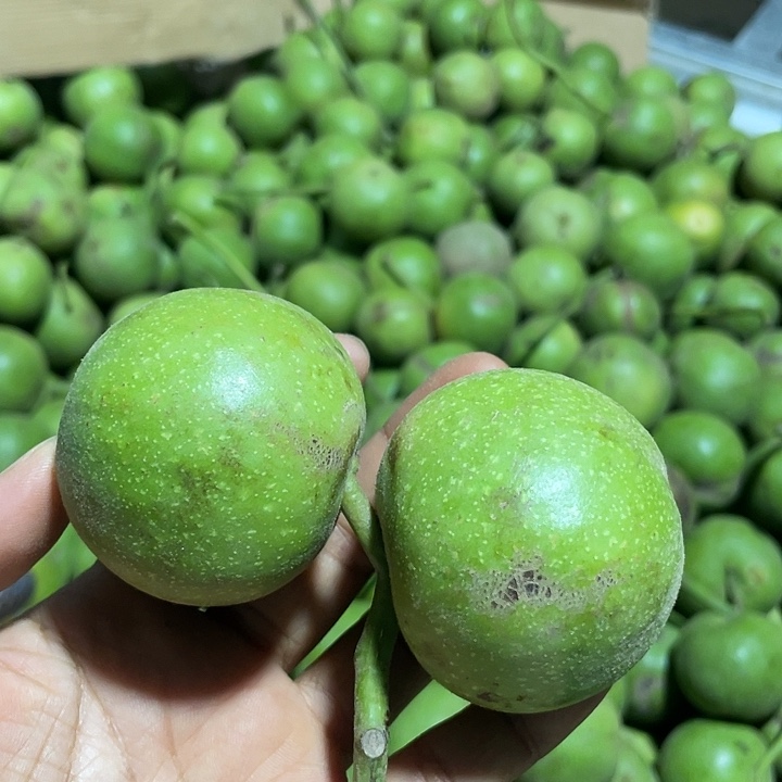 文玩核桃把件宫灯连枝56