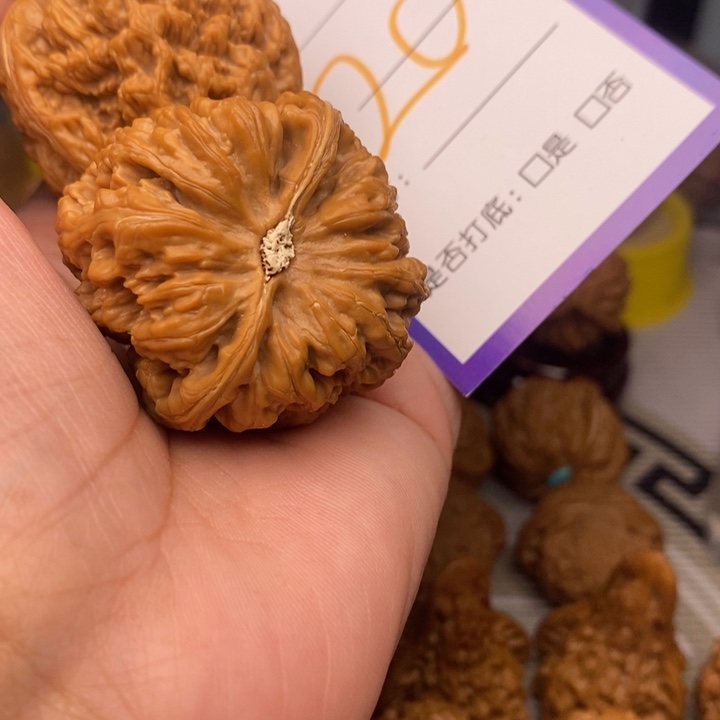 吊坠文玩核桃大*20号粗筋