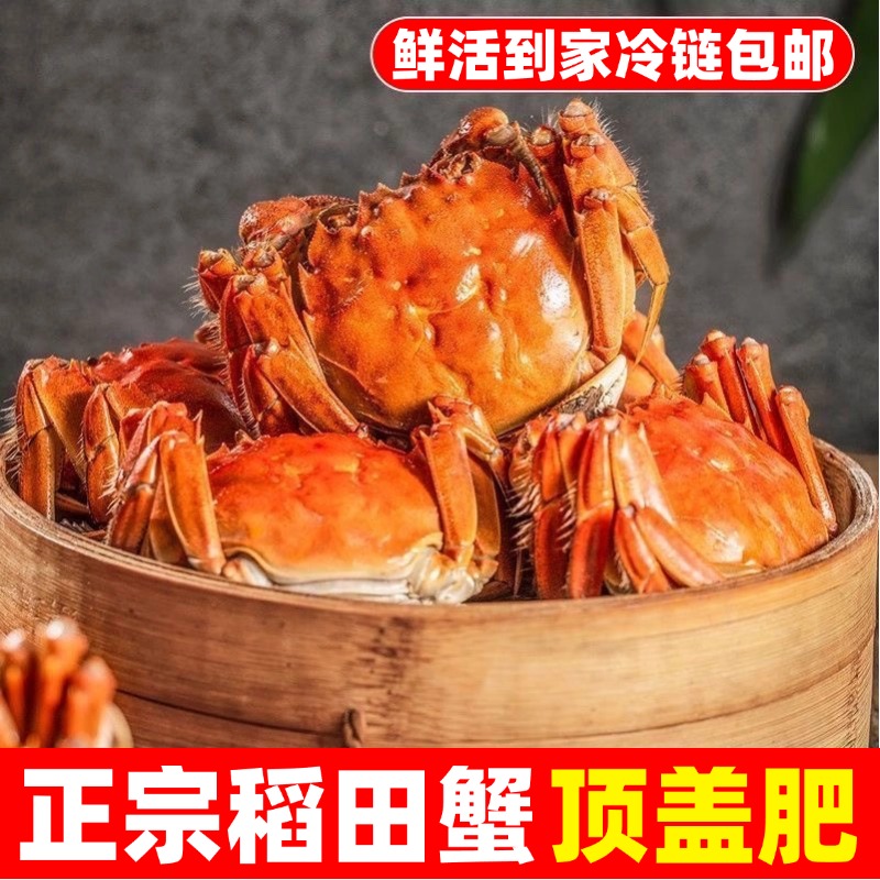 【活蟹】盘锦河蟹（全母1.3-1两/只）2.5斤3斤顺丰京东包邮3