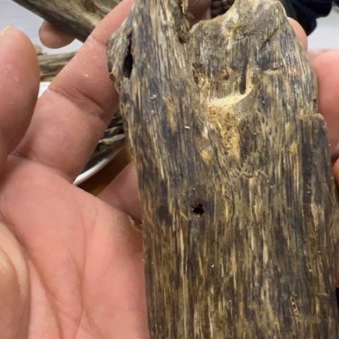 木福利奇楠虫漏馨香料25.4克