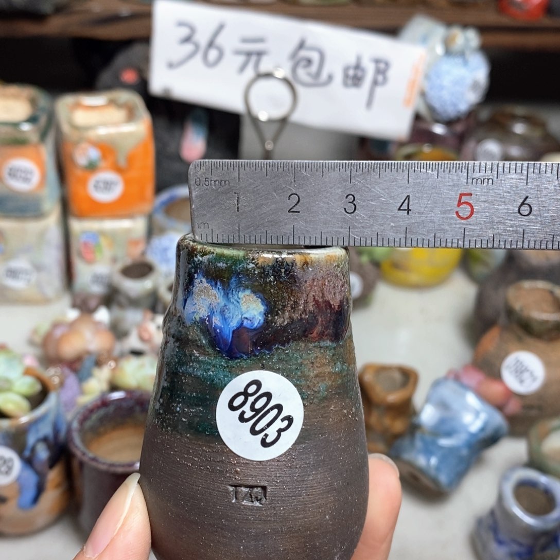 花盆拍5送一个小礼物